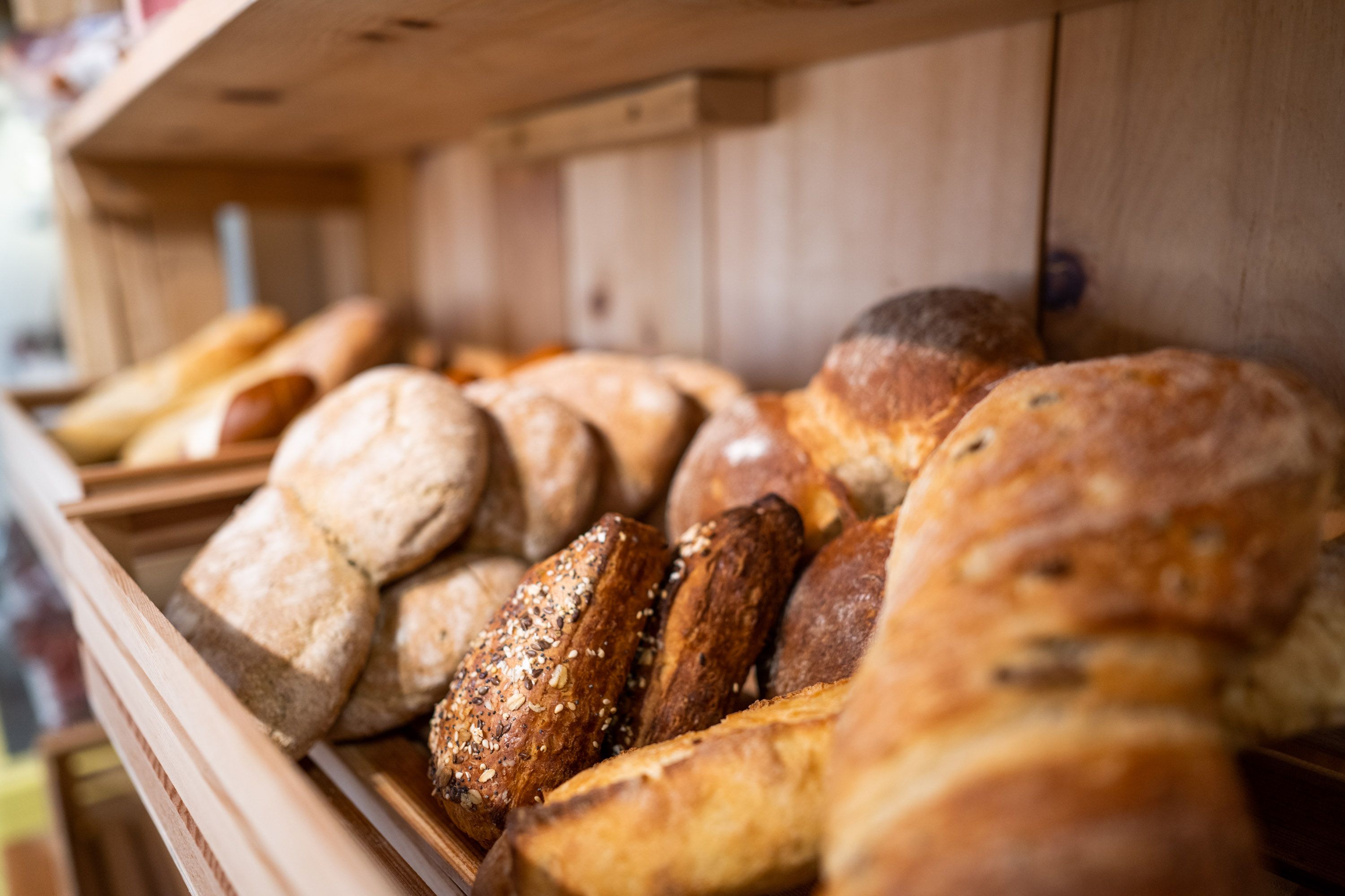 pzlr pronto 01Januar 01 43