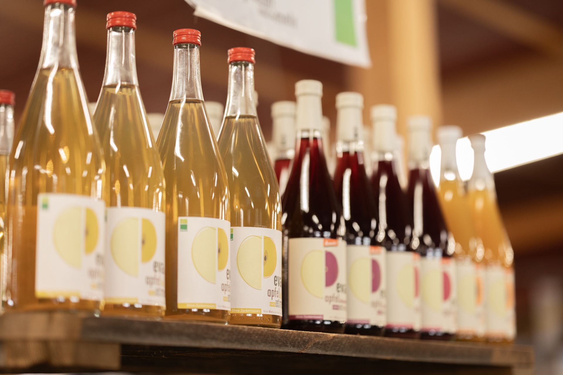 zf pronto eyrs220324 3